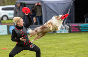 https://jksports360.com/wp-content/uploads/2025/07/disc-dog-event-pixabay.jpg