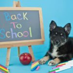 https://jksports360.com/wp-content/uploads/2025/09/behavior-training-back-to-school-pup.jpg